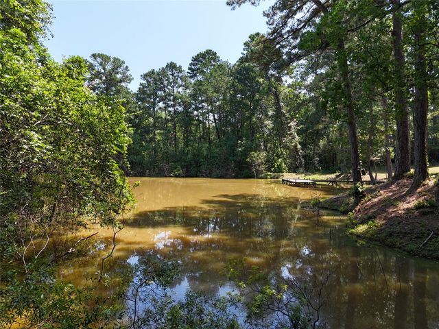TBD James Lane, Coldspring, TX 77331