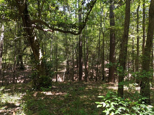 TBD James Lane, Coldspring, TX 77331