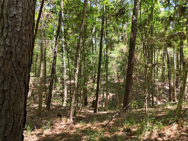 TBD James Lane, Coldspring, TX 77331