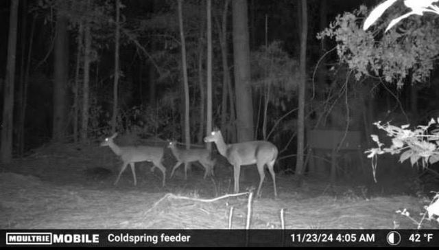TBD James Lane, Coldspring, TX 77331