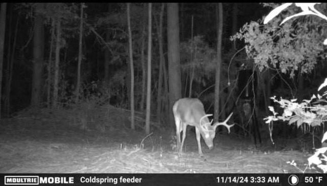 TBD James Lane, Coldspring, TX 77331
