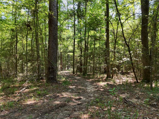 TBD James Lane, Coldspring, TX 77331