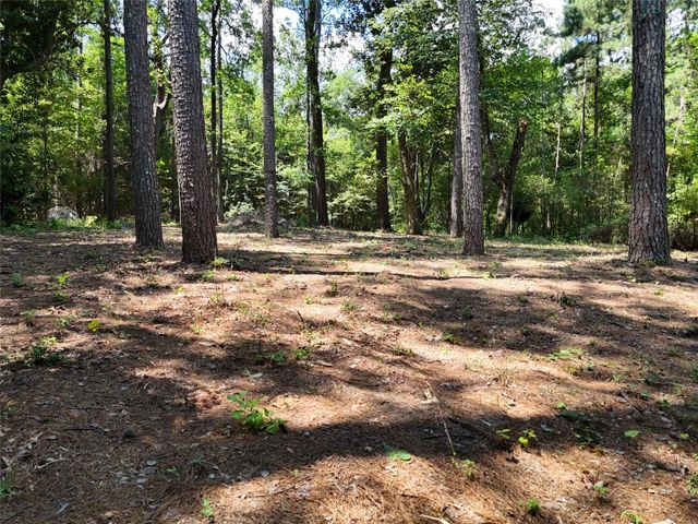 TBD James Lane, Coldspring, TX 77331