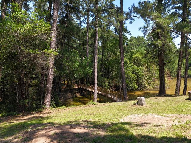 TBD James Lane, Coldspring, TX 77331