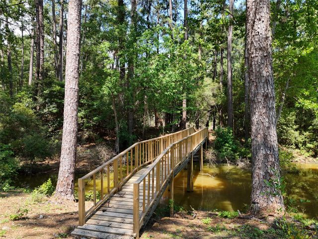 TBD James Lane, Coldspring, TX 77331