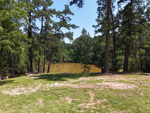 TBD James Lane, Coldspring, TX 77331