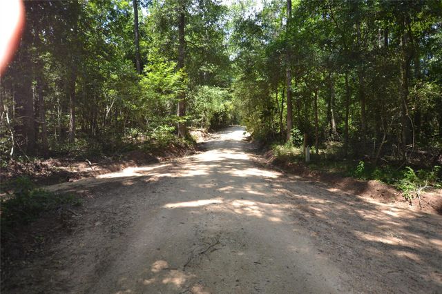 TBD James Lane, Coldspring, TX 77331