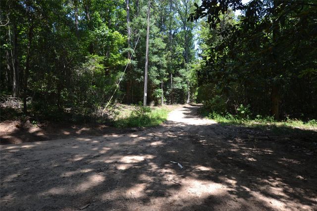 TBD James Lane, Coldspring, TX 77331
