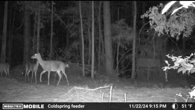 TBD James Lane, Coldspring, TX 77331