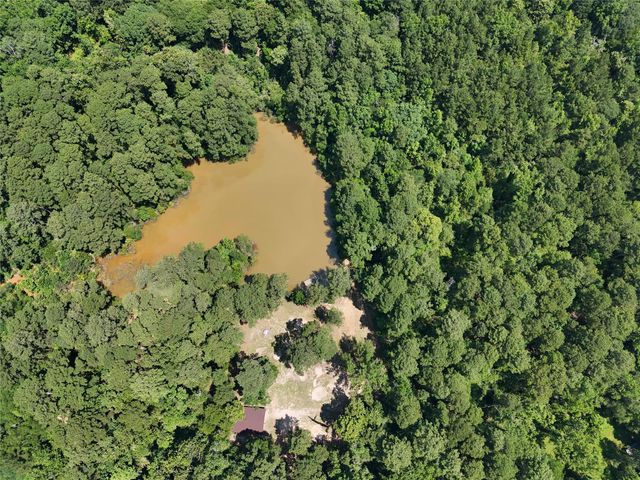 TBD James Lane, Coldspring, TX 77331