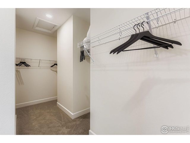 598 Noola St, Windsor, CO 80550