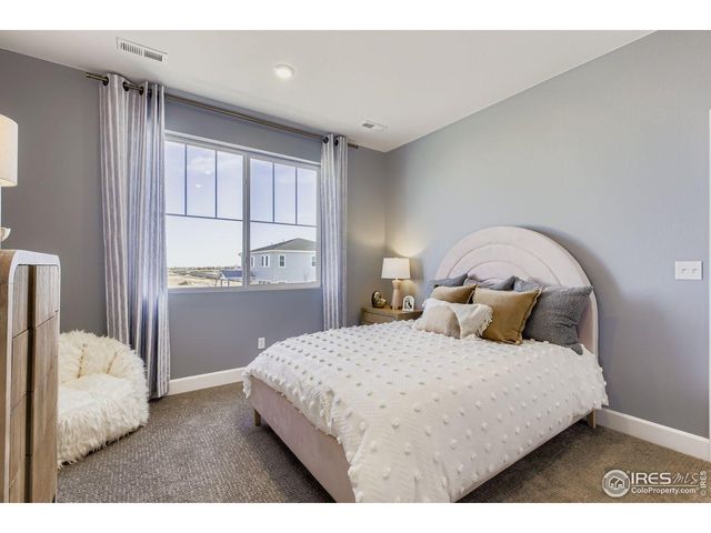 598 Noola St, Windsor, CO 80550