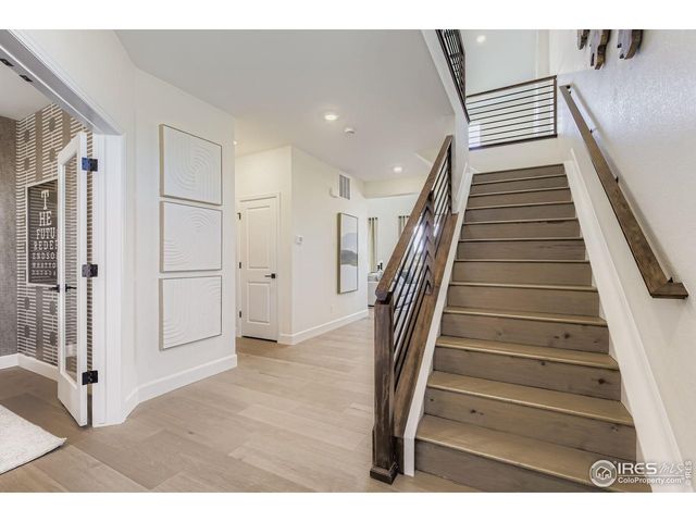 598 Noola St, Windsor, CO 80550