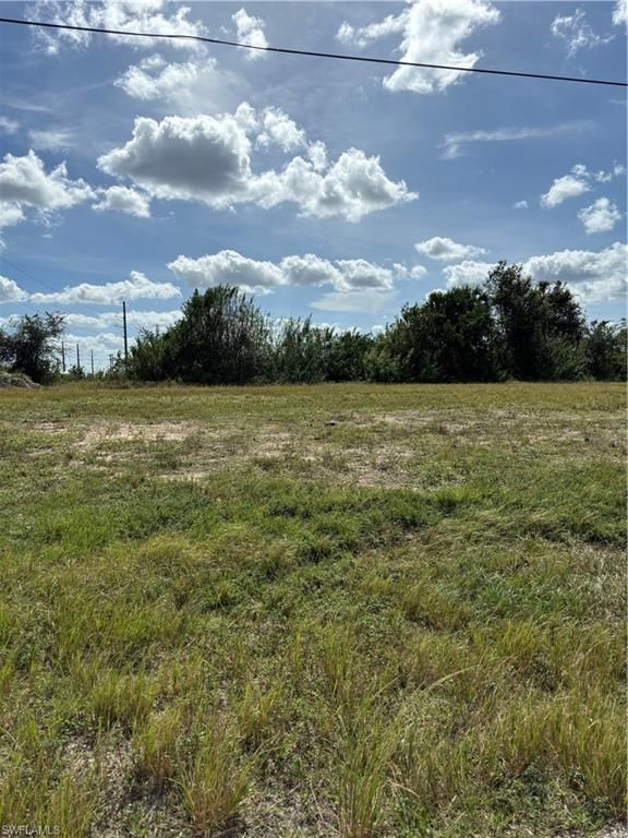 2418 NW 10th ST, CAPE CORAL, FL 33993 — photo 3