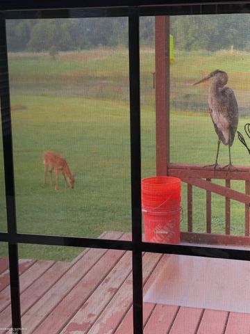 3747 Freiburger Road, Snover, MI 48472