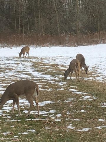 3747 Freiburger Road, Snover, MI 48472