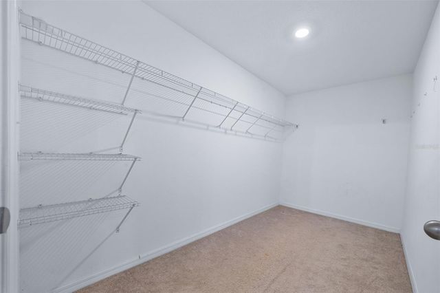 17136 WHITE MANGROVE DRIVE, Wimauma, FL 33598