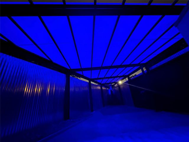 2029 Dunlavy Street, Houston, TX 77006