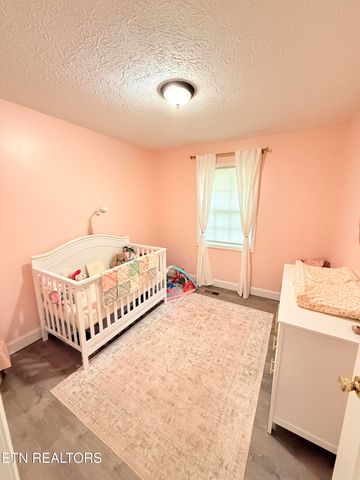 109 Bob White Drive, Tazewell, TN 37879