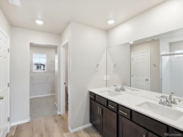 1218 Spring Creek Drive, Windsor, CO 80550