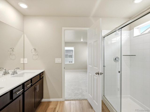 1218 Spring Creek Drive, Windsor, CO 80550