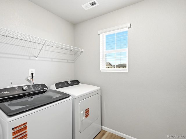 1218 Spring Creek Drive, Windsor, CO 80550