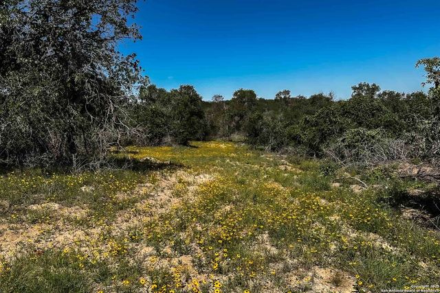 000 Fm 1303, Floresville, TX 78114