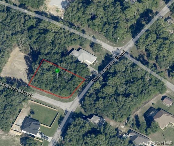 10222 N Dyal Drive, Citrus Springs, FL 34434