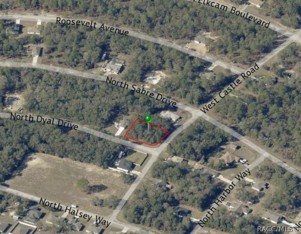 10222 N Dyal Drive, Citrus Springs, FL 34434