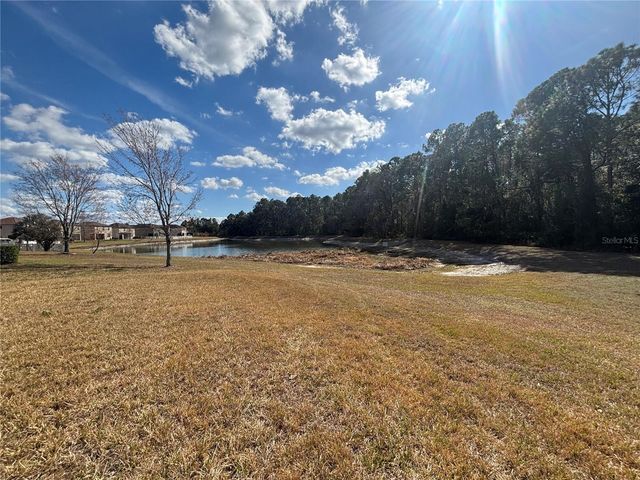 20014 DATE PALM WAY, Tampa, FL 33647