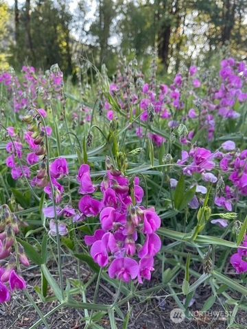 235304 Hwy 101, Port Angeles, WA 98363