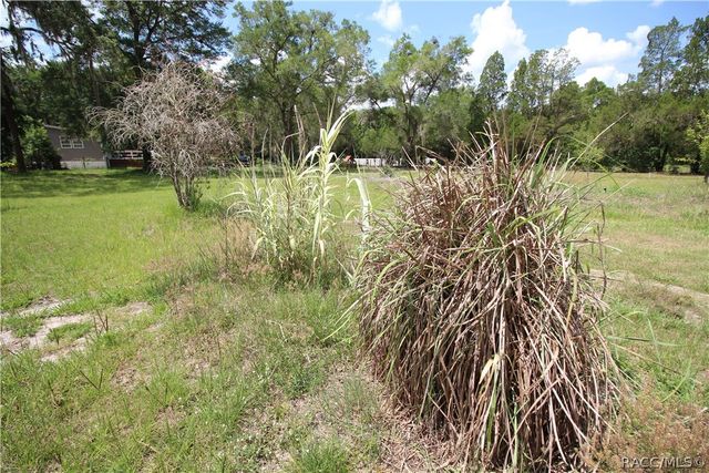 415 S Scarboro Avenue, Lecanto, FL 34461