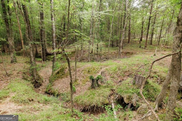 1967 Calhoun Falls Highway, Elberton, GA 30635