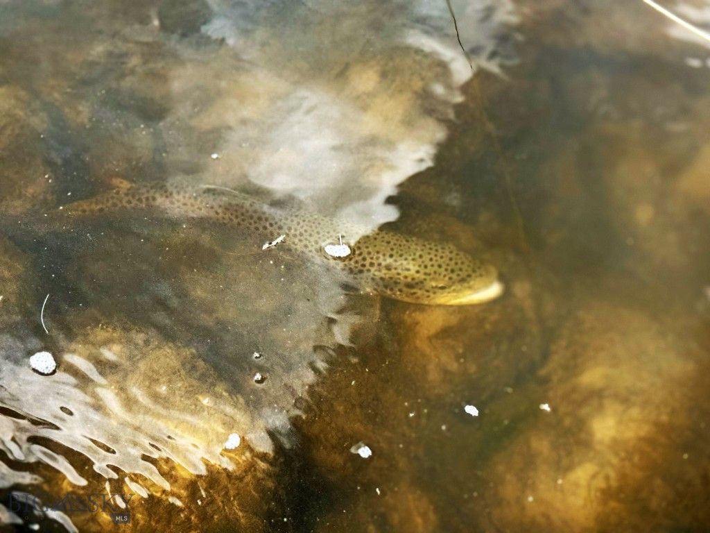 142 Luppold Road, White Sulphur Springs, MT 59645 photo 53