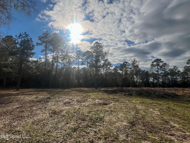 Lot 14 Pine Ridge Lane, Lucedale, MS 39452