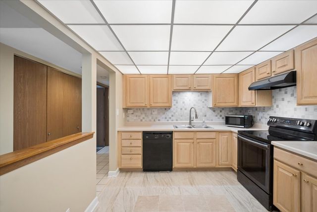 475 Plum Creek Drive 206, Wheeling, IL 60090
