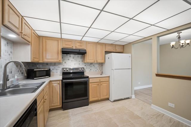 475 Plum Creek Drive 206, Wheeling, IL 60090