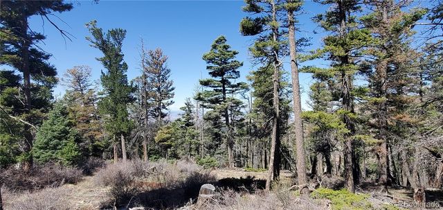 Lot 5802 Tagge Road, San Luis, CO 81152