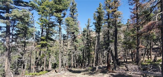 Lot 5802 Tagge Road, San Luis, CO 81152