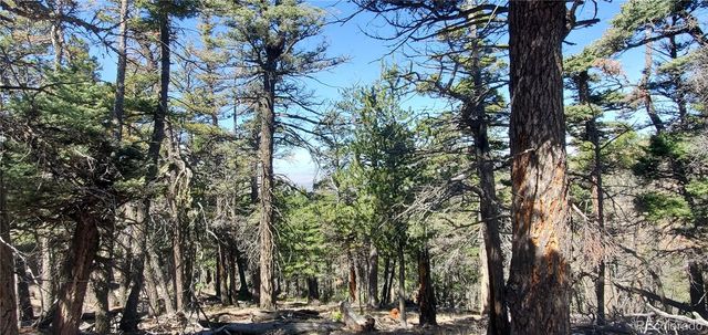 Lot 5802 Tagge Road, San Luis, CO 81152