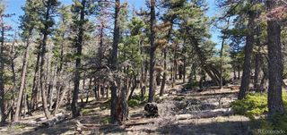 Lot 5802 Tagge Road, San Luis, CO 81152
