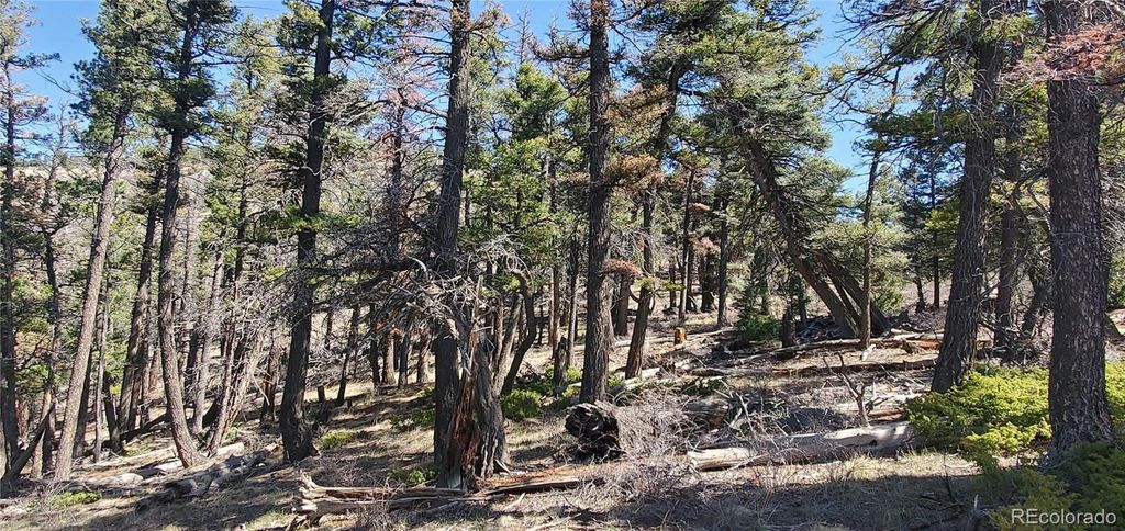 Lot 5802 Tagge Road, San Luis, CO 81152