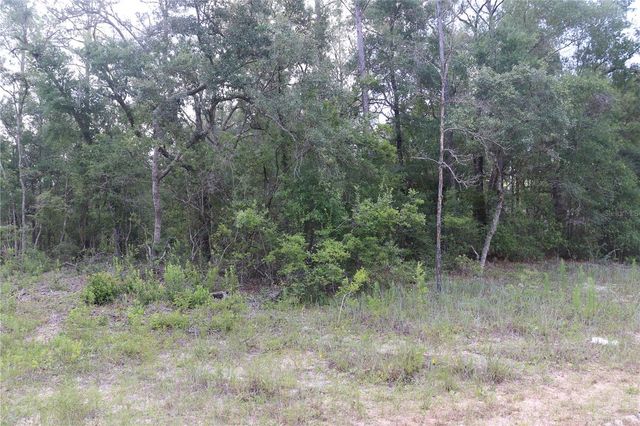 653 VERCELLI LANE, Dunnellon, FL 34434
