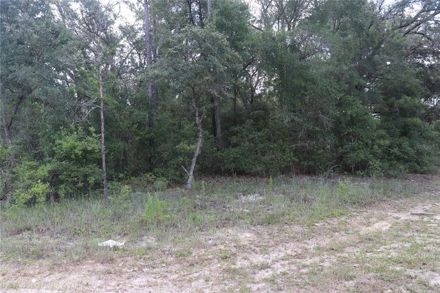 653 VERCELLI LANE, Dunnellon, FL 34434