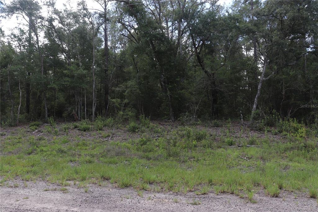 653 VERCELLI LANE, Dunnellon, FL 34434