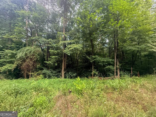 0 Jesses Run, Ellijay, GA 30536