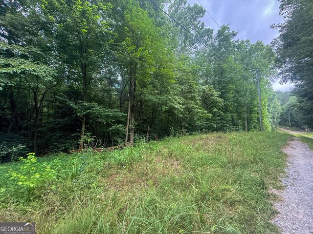 0 Jesses Run, Ellijay, GA 30536