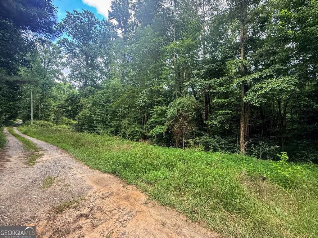 0 Jesses Run, Ellijay, GA 30536