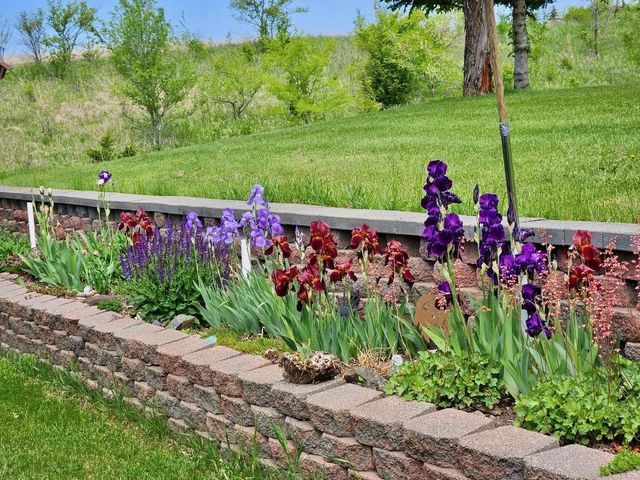 828 W Birch Avenue, Fergus Falls, MN 56537