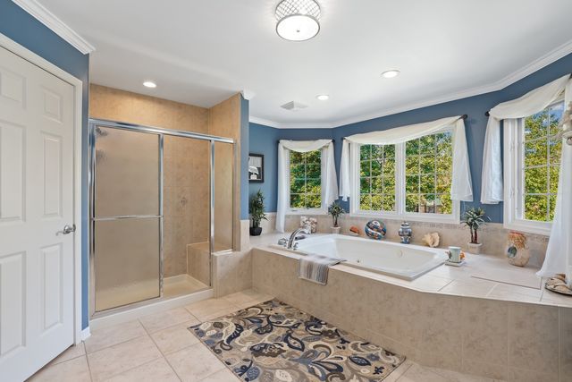 10430 Great Egret Drive, Orland Park, IL 60467
